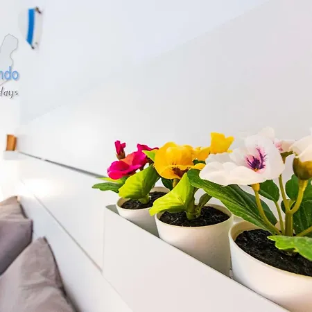 Casita Del Viento Apartment